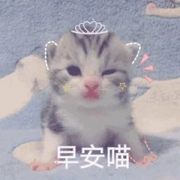华立趣事宿舍各种奇葩闹铃,你有这样的舍友吗