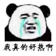 伞友是什么梗寻找伞友表情包分享