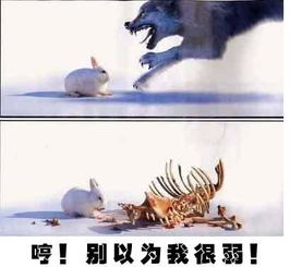 中医张总.我们小散很弱小