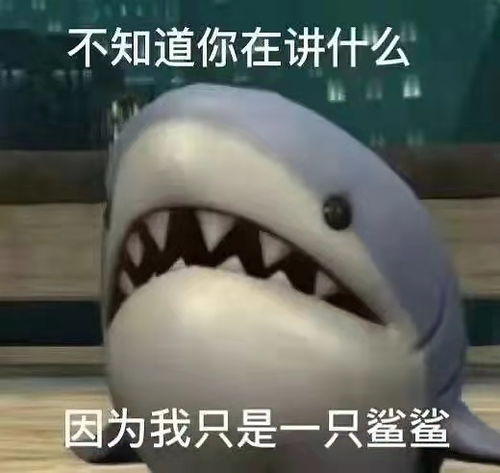 慎入我看不懂,但我确实看不懂