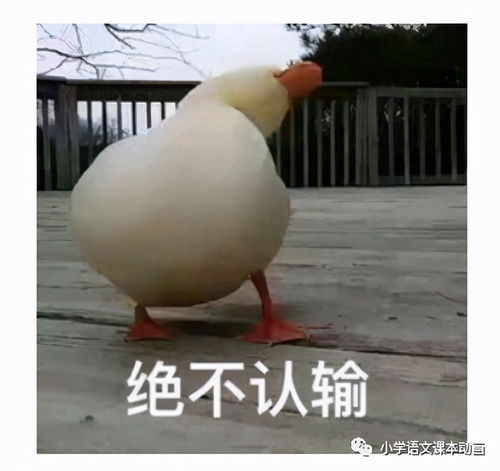 这届老师太难带当90后遇到10后会碰撞出怎样的火花