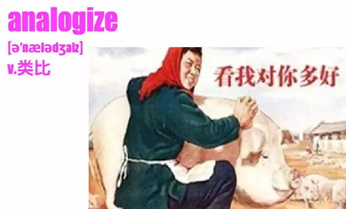 每日一句循环大考2140表情包考研单词版大放送