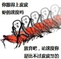 皮皮虾,我们走,兵哥哥带你领略50公里的风光