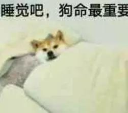 e句话看天下丨欧阳娜娜是真的惨