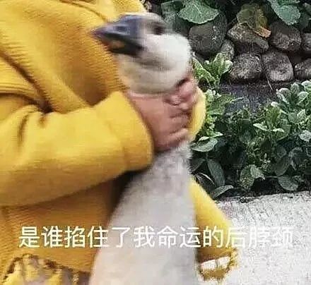 我把亲生女儿扔下山崖,为了多生一个儿子重男轻女