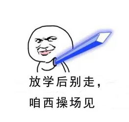 聊天斗图必备江南大学表情包1.0上线