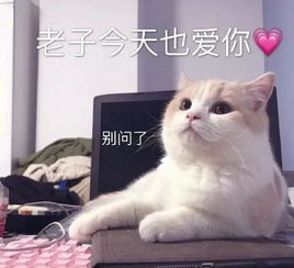 可爱撒娇的表情包,我不喜欢这个世界,我只喜欢你