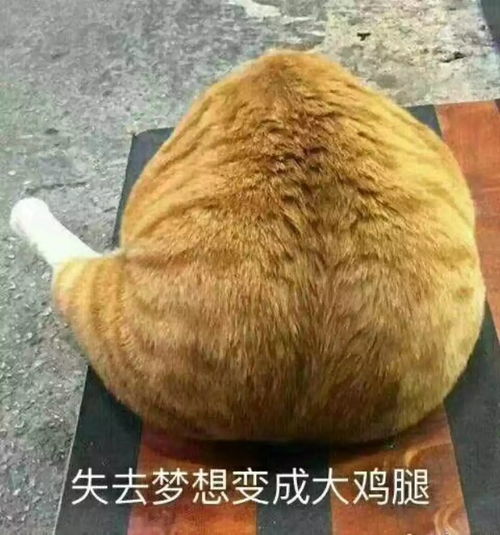 生了孩子就没有春天不,作为全职妈妈的你可以拥有更多辽阔的天空等着你