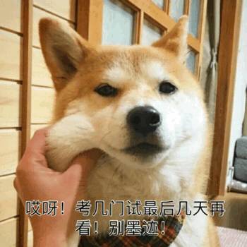 岗位推荐第二弹,财务年底来清算