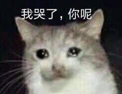 你的心像石头表情包我哭了你呢表情包下载乐游网游戏下载