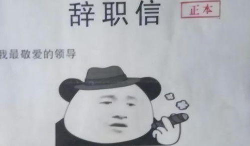 你画的饼我消化不了,00后整顿职场走红,气的老板很无奈