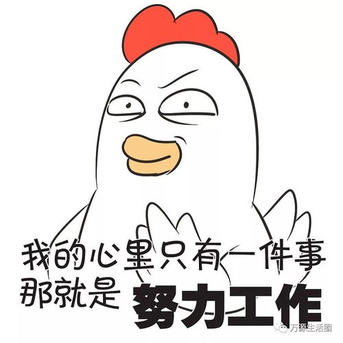 八台山今日降雪,雪景实拍内附天气预报