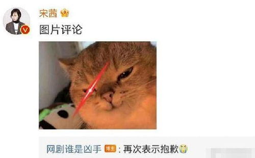求解答的表情包图片道歉