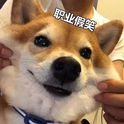 来辣来辣,lpl季后赛赛程出炉