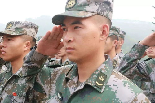 8组新人物素材2020省考申论积累