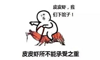 天了噜,皮皮虾我们走用英文竟然这样说