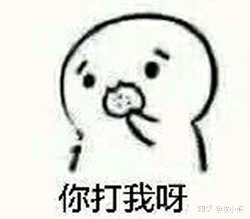 普通二本,21年考研风景园林,怎么准备