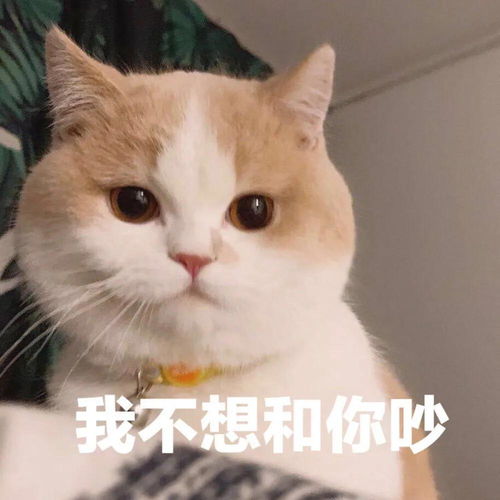 幽默搞笑表情包我只有你这一个宝贝了