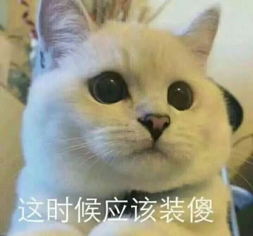 学习搭上运动更佳哟