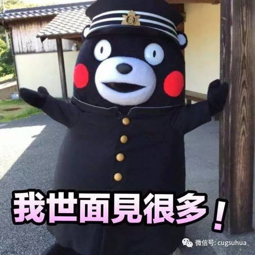 hi熊本熊跟我来地大吧