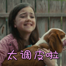 一条狗的使命2,一段段生活的诉说