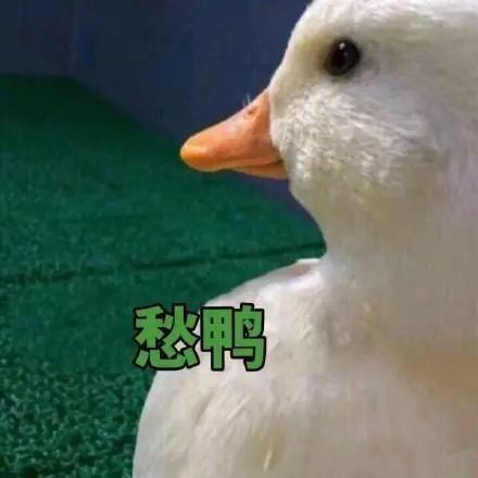 大人买一等座,给孩子买二等座,结果一起快乐一等座