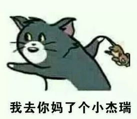 史上最全沙雕情侣头像合集哈哈哈哈哈哈哈哈哈