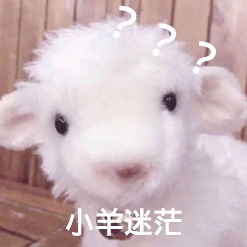 拜年好累表情包