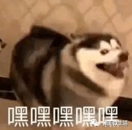 求助帖救救那些还被蒙在鼓里的孩子们