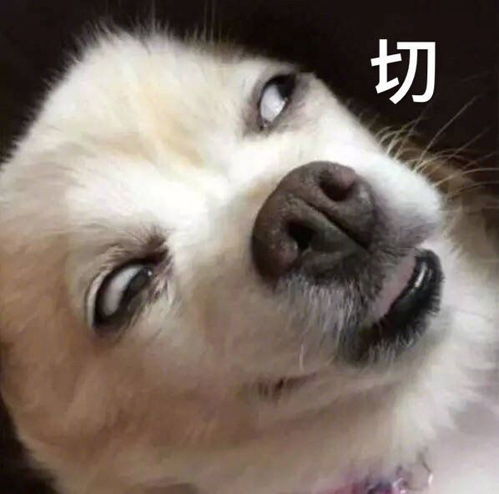 那些有病的朋友圈文案