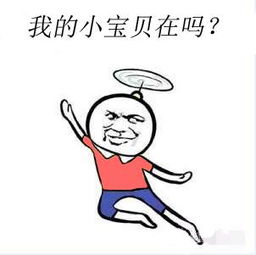 高质量表情包,停,停你这样的破图我没法接