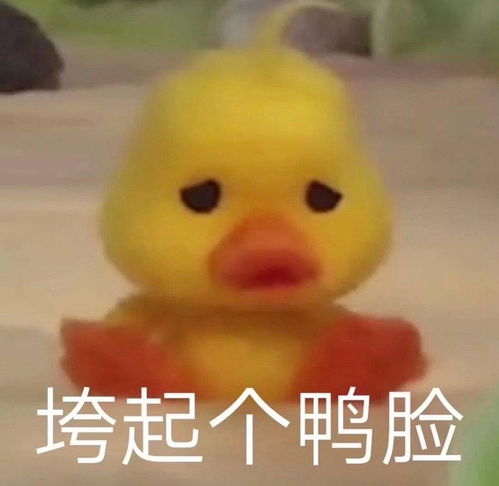 丑鸭子表情包开心笑话