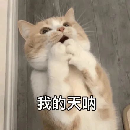 速看这些食品不合格,蔬菜占一半