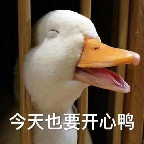 甜蜜七夕开心ol缤纷夏日祭欢乐来袭