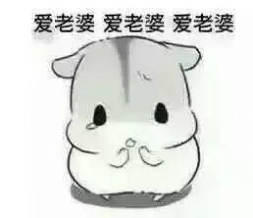 一不小心看了男友的淘宝搜索记录搞笑频道