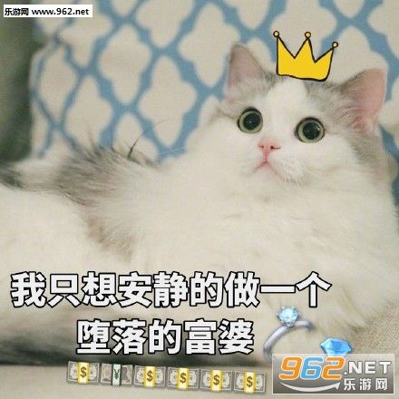夭寿啦我竟然在b站背单词哈利波特与词根词缀咒语篇之悬空翻转
