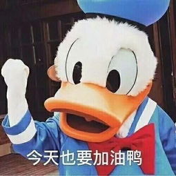 你见到过哪些笑到不行表情包
