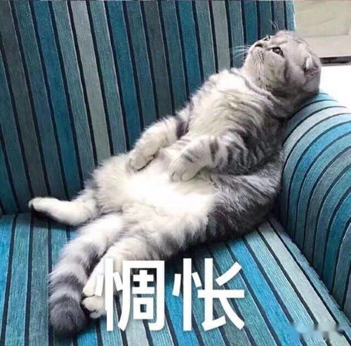 有趣的法语单词一
