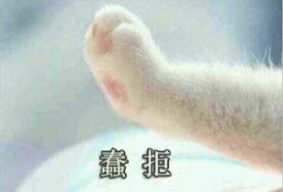 猫爪牵手表情包