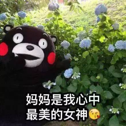 最炫酷母亲节祝福语手把手教你哄妈妈开心