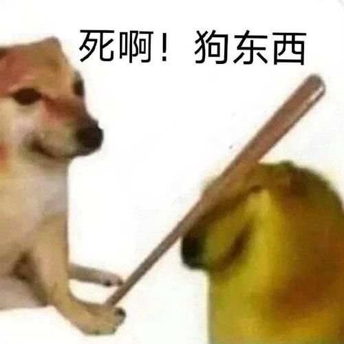 对方不回信息时有什么文案可以怼