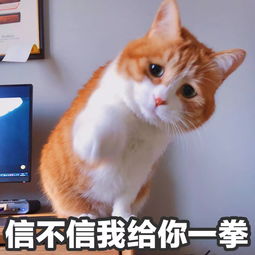 还记得当年被知音支配的恐惧吗