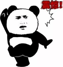 直播打架,裁判居然比冬奥会的那几位还秀