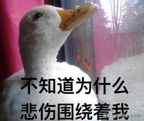 支持蔡徐坤扶贫,粉丝把海南咸鸭蛋买到脱销,海鸭我尽力下蛋了