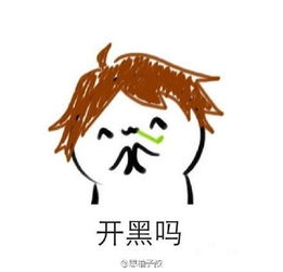王者荣耀斗图表情包第174期有本事进来怼我们呀