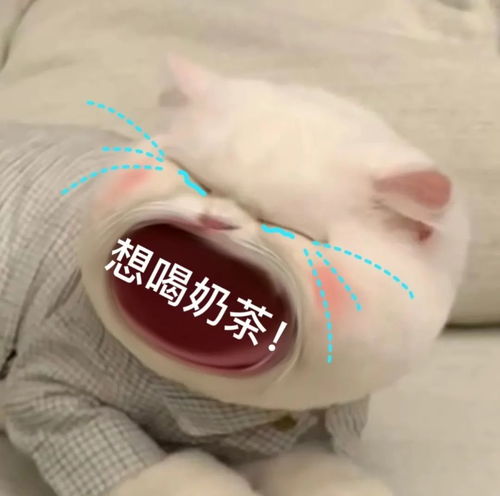奶茶甜点戒不掉...你的血糖还正常吗