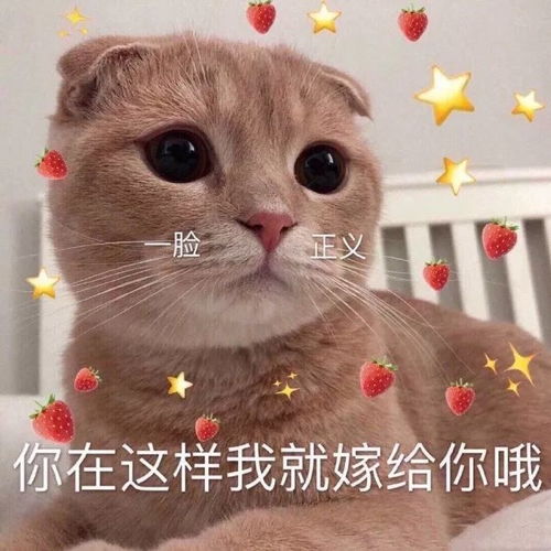 男女生谈恋爱必经的10个阶段,超准