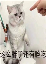 你够贱我喜欢表情包这么胖了还有脸吃表情包图片下载乐游网游戏下载