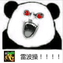 正经游史dnf这个职业被玩家骂了10年的狗却是最受玩家欢迎的职业
