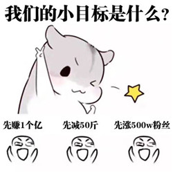 仓鼠版本小目标